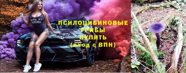 индика Баксан