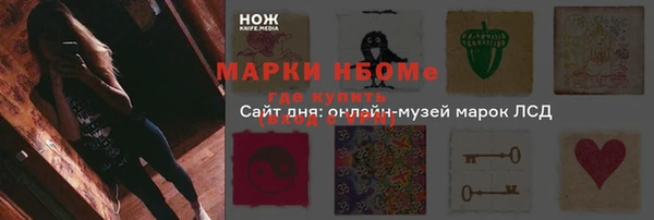 индика Баксан