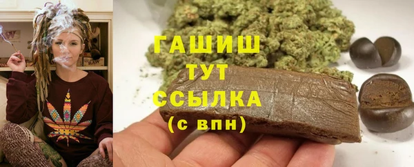 индика Баксан
