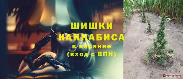 индика Баксан