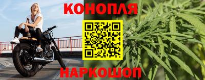 гидра Гай