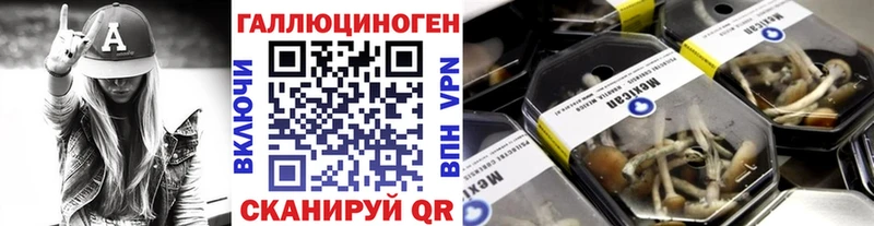 ОМГ ОМГ онион  Гусев  Псилоцибиновые грибы прущие грибы 