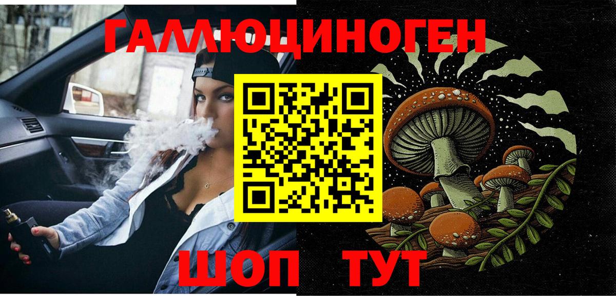 Галлюциногенные грибы Psilocybe Гусев