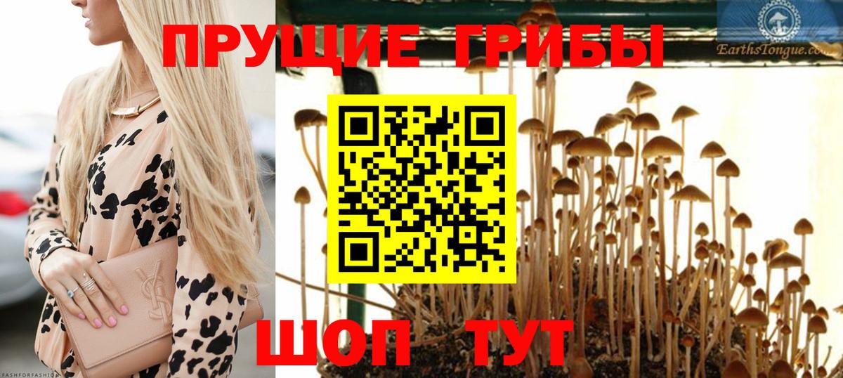 Галлюциногенные грибы GOLDEN TEACHER  Галлюциногенные грибы мицелий  Гусев 